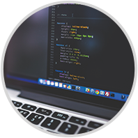 Equipe de Desenvolvimento